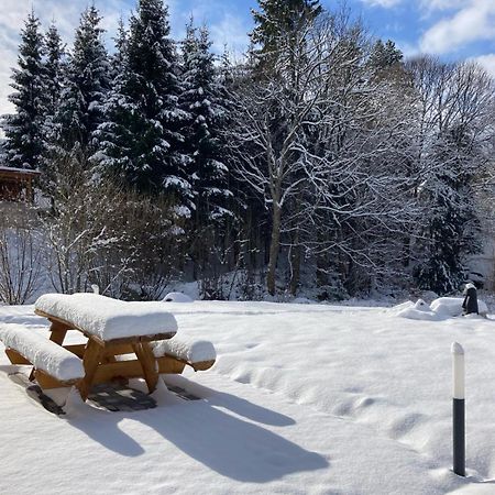 La Cabane Des Ecureuils Xonrupt-Longemer Exteriör bild