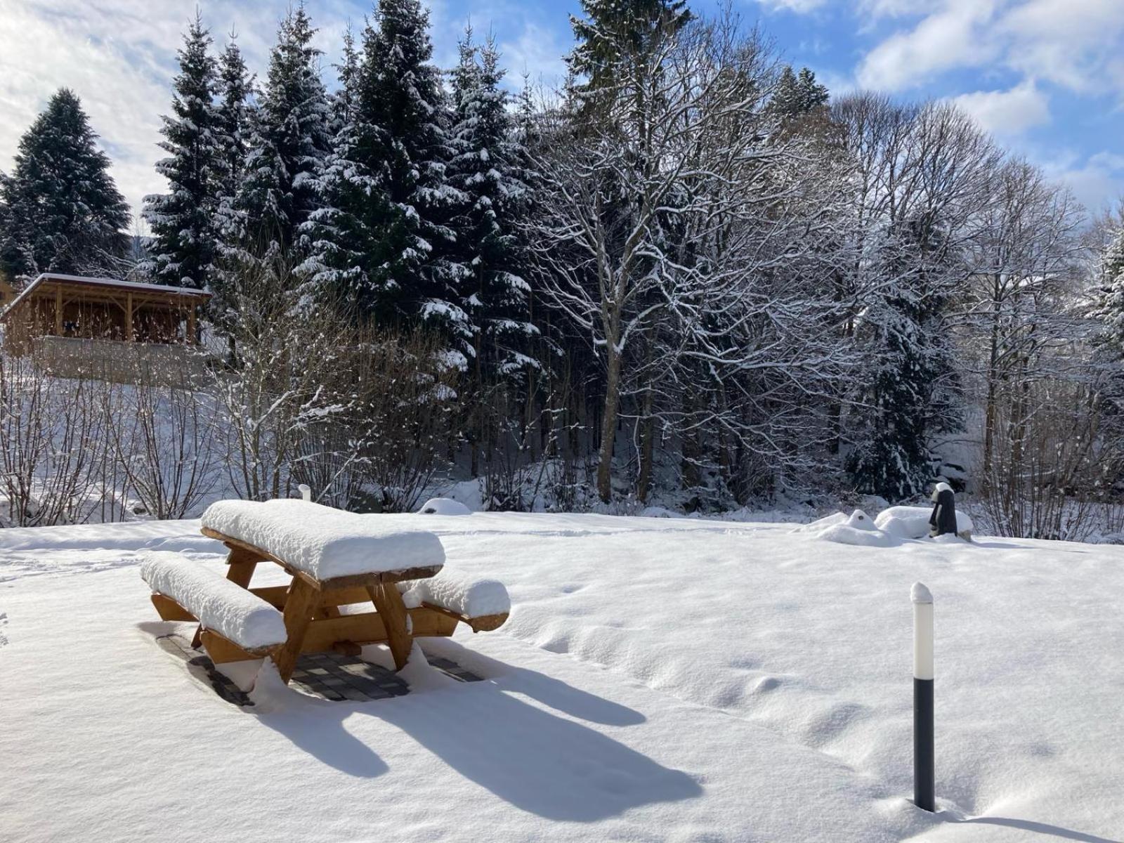 La Cabane Des Ecureuils Xonrupt-Longemer Exteriör bild